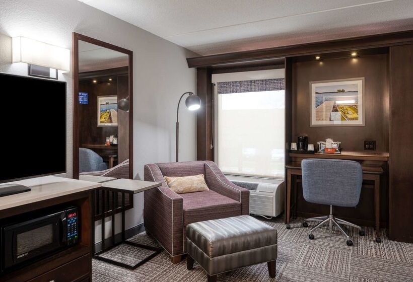 Отель Hampton Inn Janesville