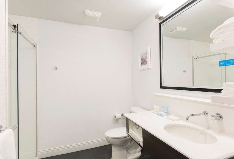 호텔 Hampton Inn Midland