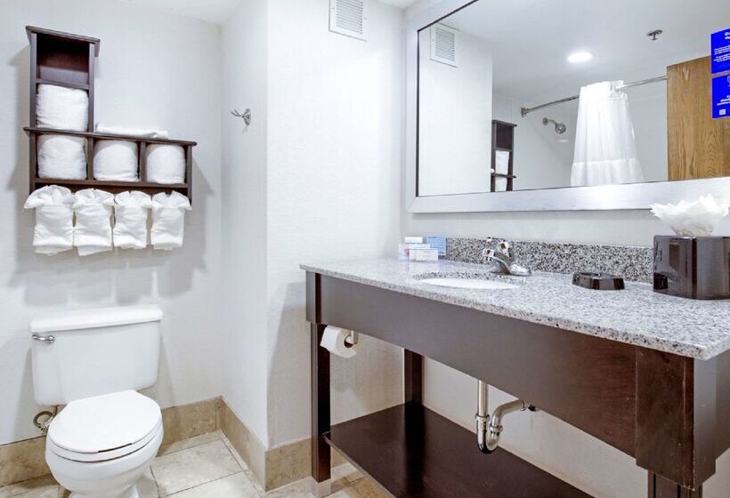 هتل Hampton Inn Mobilei10/bellingrath Gardens