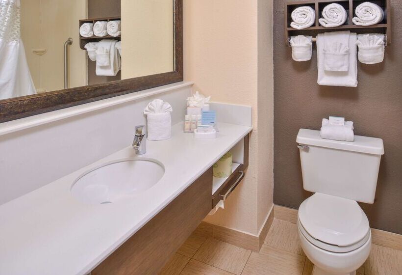 Fotos del hotel Hampton Inn Closest To Universal Orlando:  12