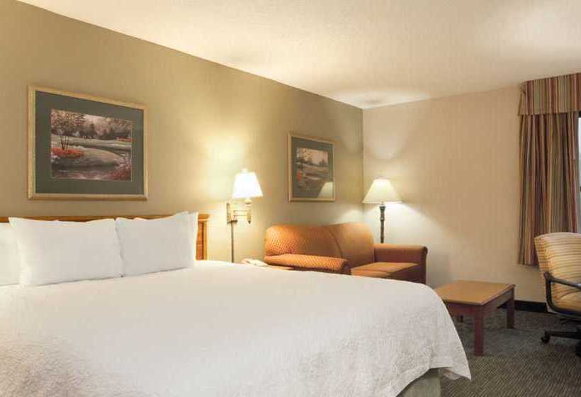 Hotel Hampton Inn Orlando International Drive/convention Center