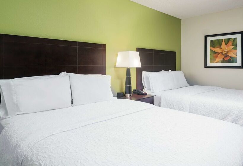 Fotos del hotel Hampton Inn Orlandointernational Airport:  8