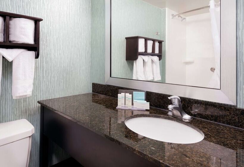 Fotos del hotel Hampton Inn Orlandointernational Airport:  13