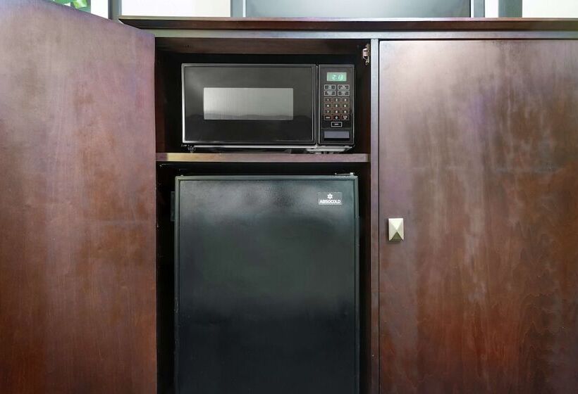 Fotos del hotel Hampton Inn Orlandointernational Airport:  50