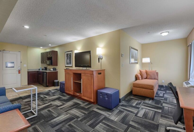 בית מלון כפרי Hampton Inn Owensboro South