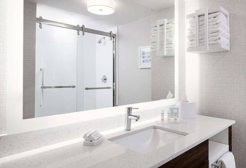 酒店 Hampton Inn Richmondsouthwesthull Street