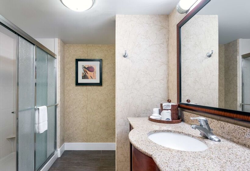 فندق Hampton Inn Roanoke/hollins  I81