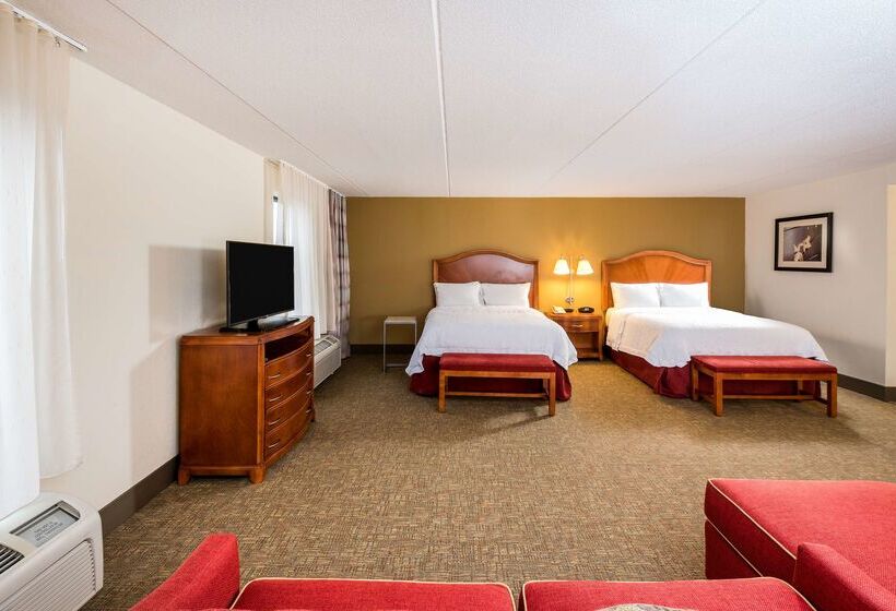 Hôtel Hampton Inn Roanoke/hollins  I81