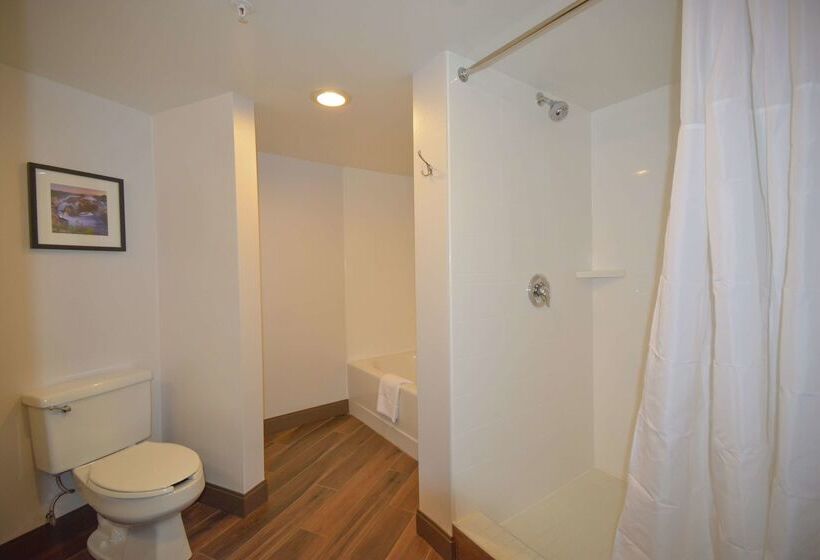 هتل Hampton Inn Salem Eastelectric Road