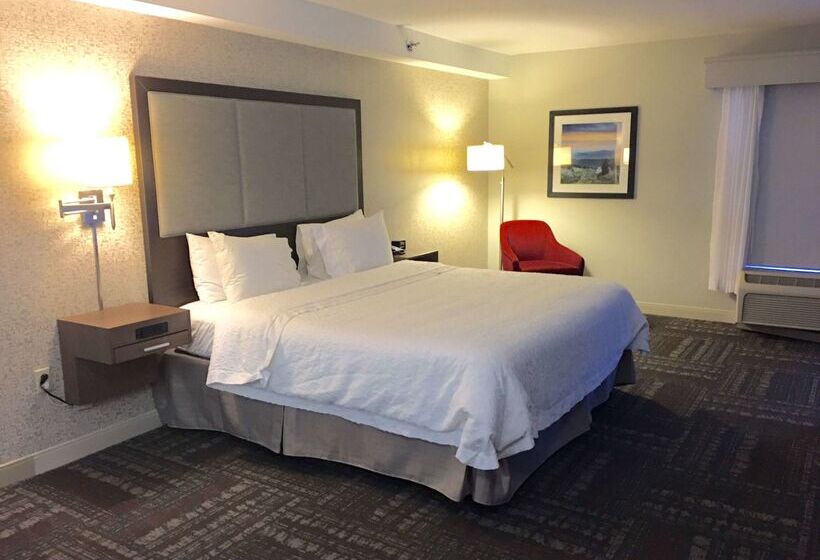 ホテル Hampton Inn Sevierville