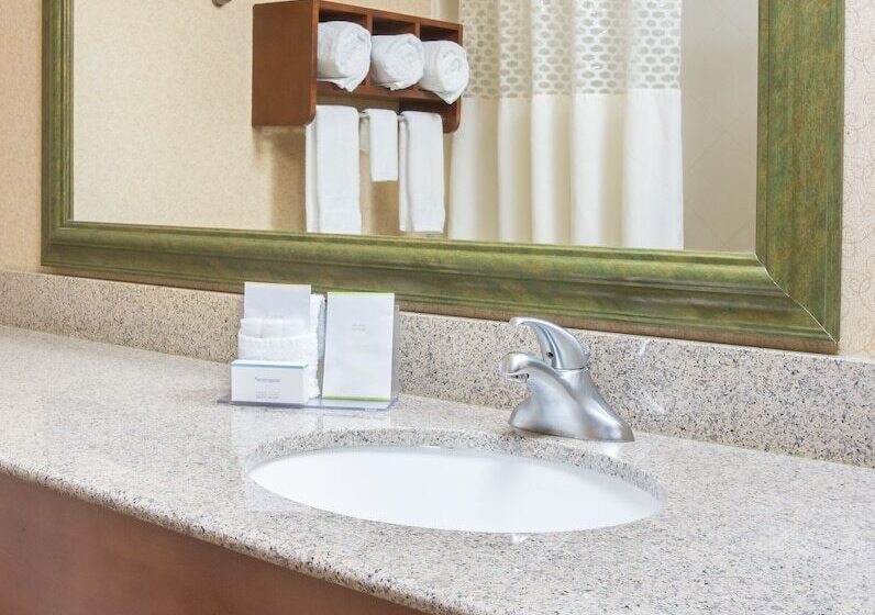 ホテル Hampton Inn Shawnee