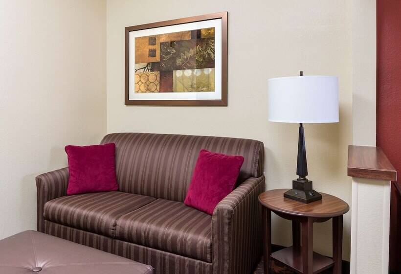 ホテル Hampton Inn Shawnee