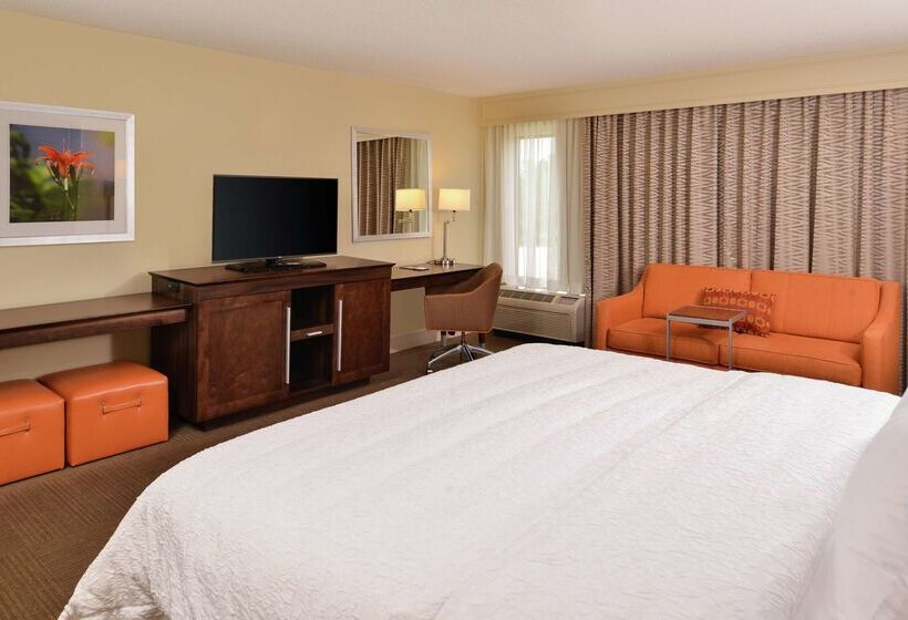 בית מלון כפרי Hampton Inn South Hill