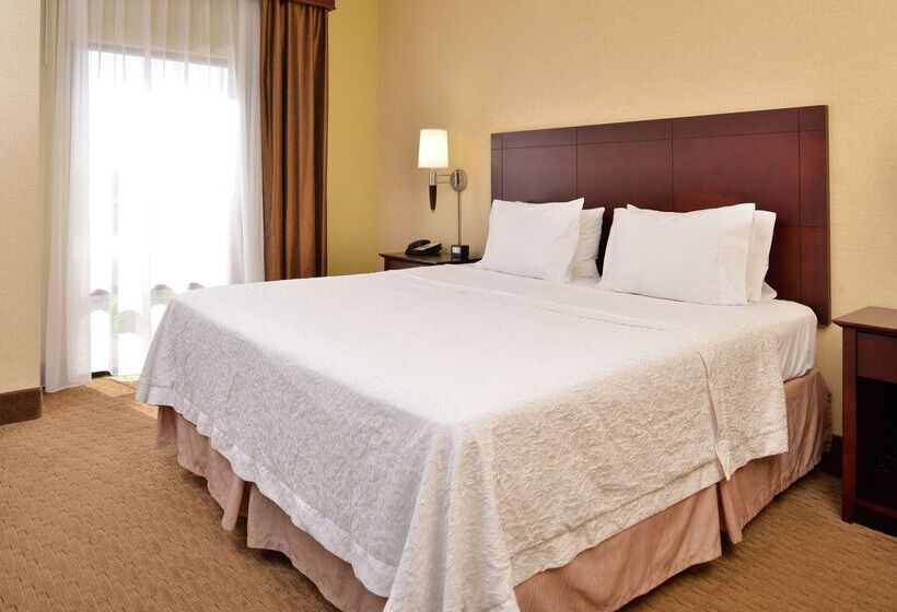 בית מלון כפרי Hampton Inn Staunton