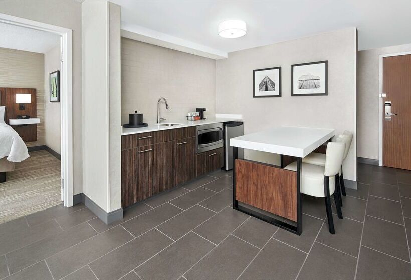 هتل Hampton Inn & Suites Chicagodowntown