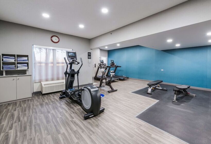 בית מלון כפרי Hampton Inn & Suites Chicago/hoffman Estates
