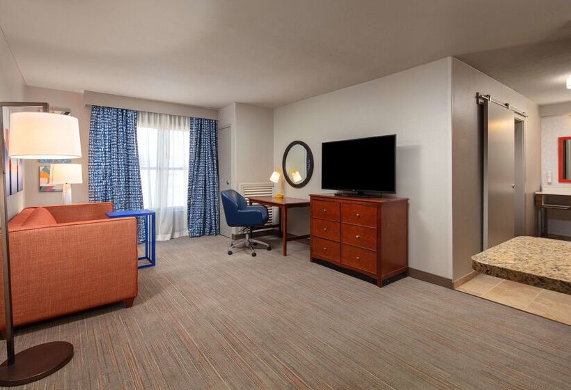 Hotel Hampton Inn & Suites El Pasoairport