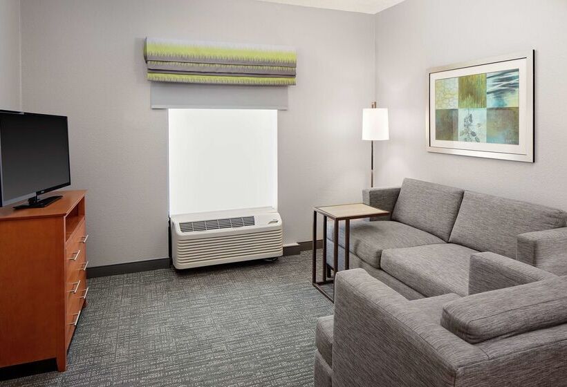 Fotos del hotel Hampton Inn & Suites Houston-medical Center-nrg Park:  39