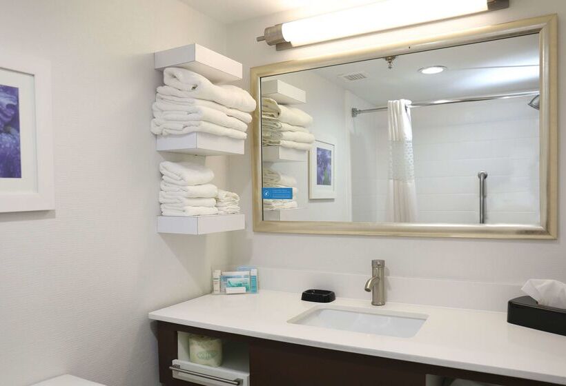 فندق Hampton Inn Sumter