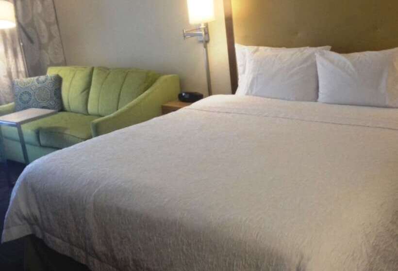 هتل Hampton Inn Tampa/rocky Pointairport