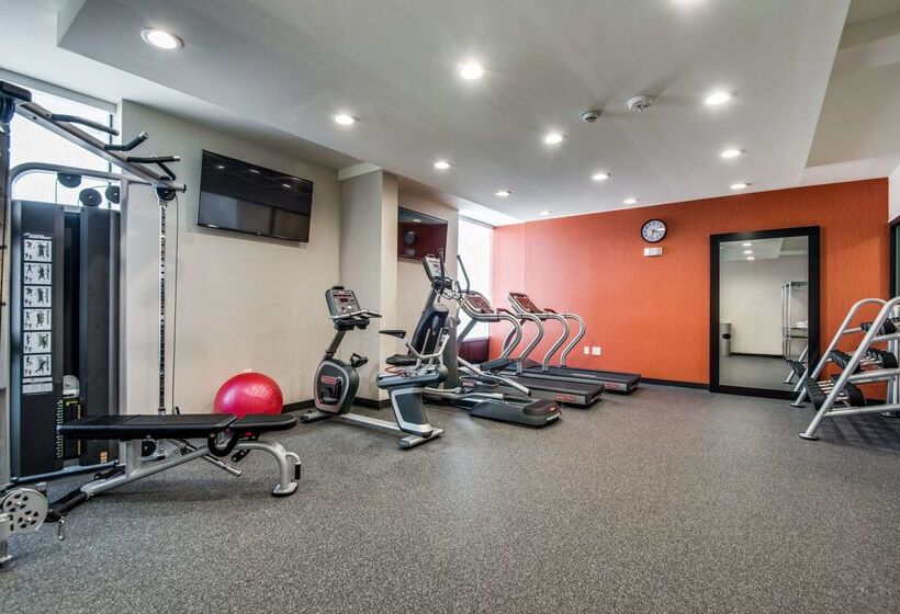 هتل Home2 Suites By Hilton Dfw Airport South/irving, Tx