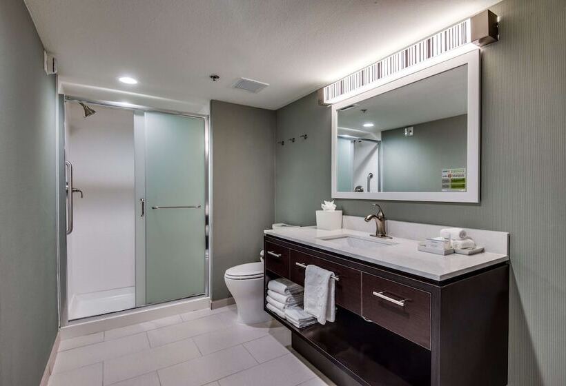 Hotel Home2 Suites By Hilton Dfw Airport South Irving