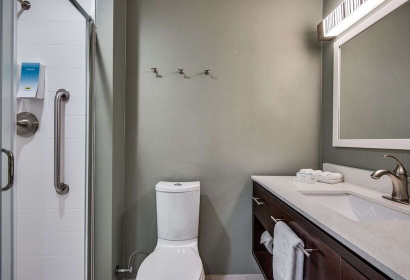هتل Home2 Suites By Hilton Dfw Airport South/irving, Tx