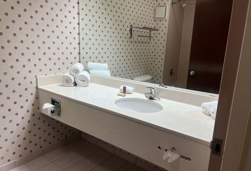 Fotos del hotel Ramada By Wyndham Orlando Florida Mall:  31