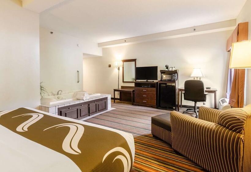 酒店 Quality Inn Danville   University Area