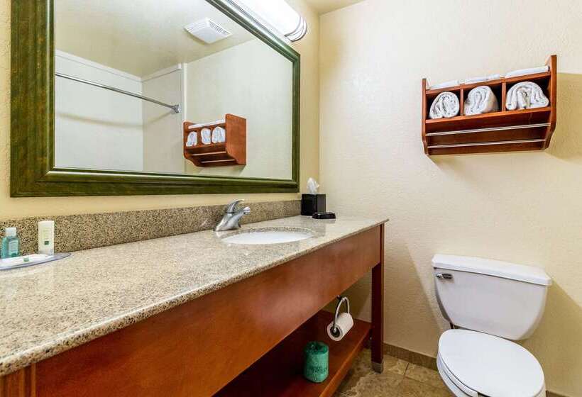 Hotel Quality Inn Texas City I 45