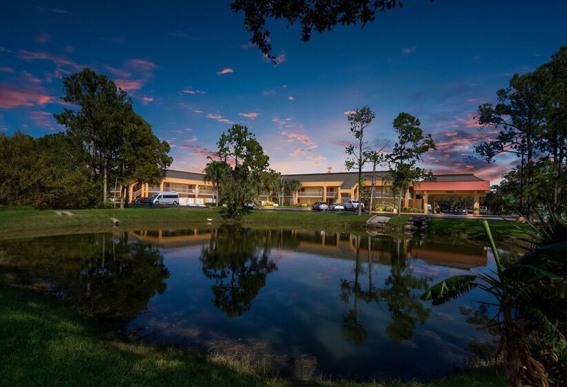 Surestay Hotel By Best Western St. Pete Clearwater Airport