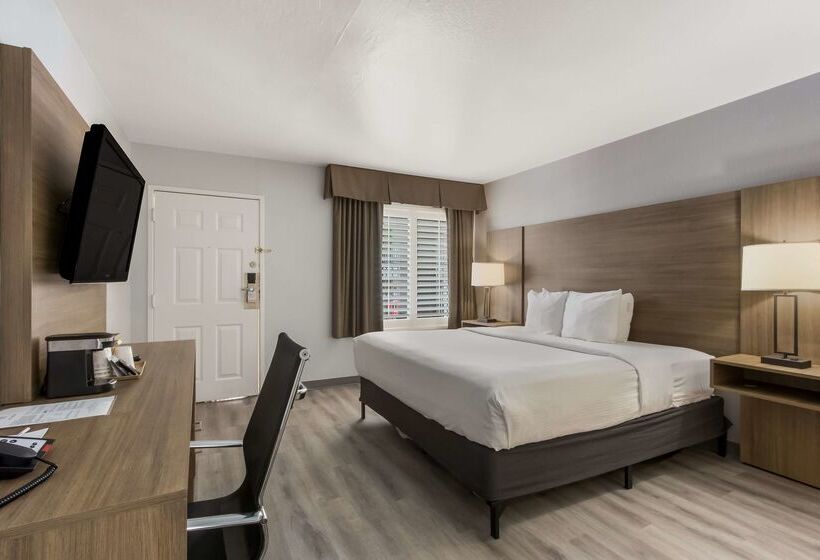 Surestay Plus Hotel By Best Western Tempe University