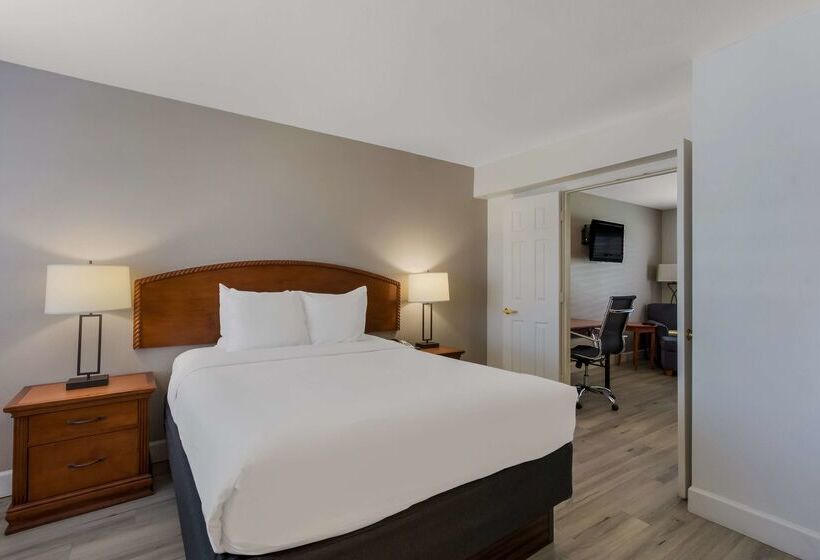 Surestay Plus Hotel By Best Western Tempe University