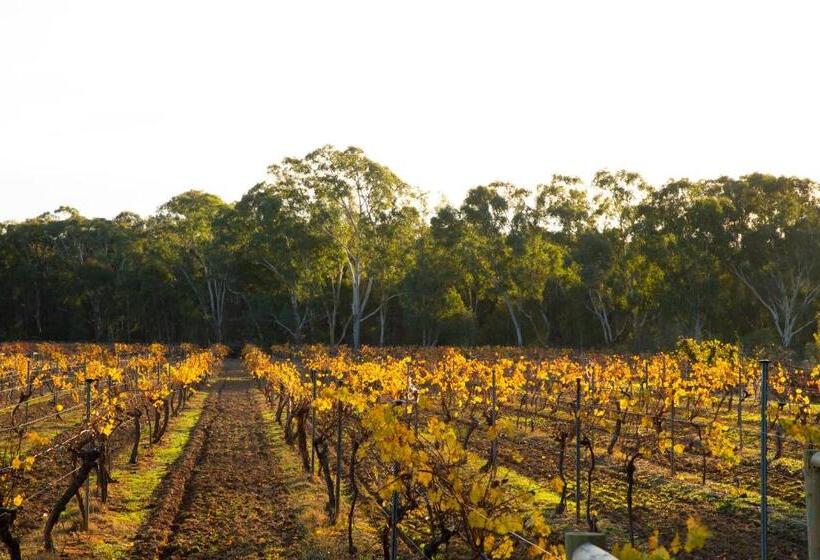 Byronsvale Vineyard And Accommodation