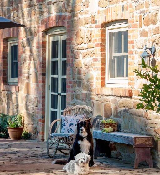 Byronsvale Vineyard And Accommodation