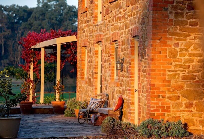 Byronsvale Vineyard And Accommodation
