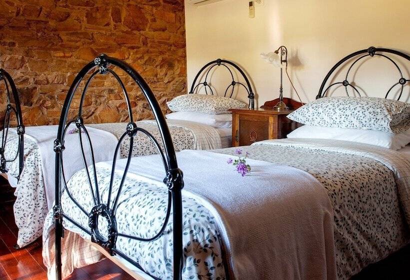 Byronsvale Vineyard And Accommodation