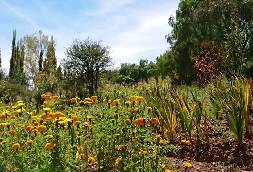 هتل La Quinta De María Tilcara