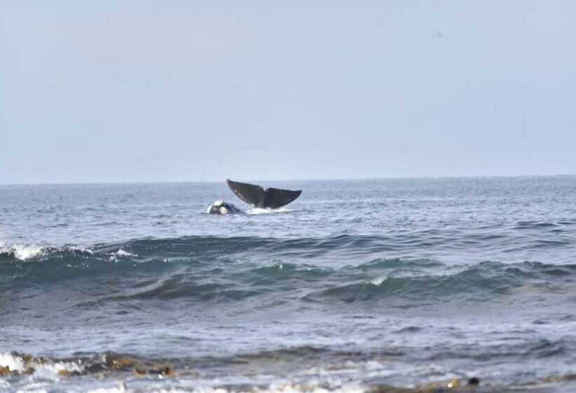 هتل Seacroft Estate