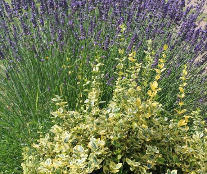 펜션 Gîtes De Lez