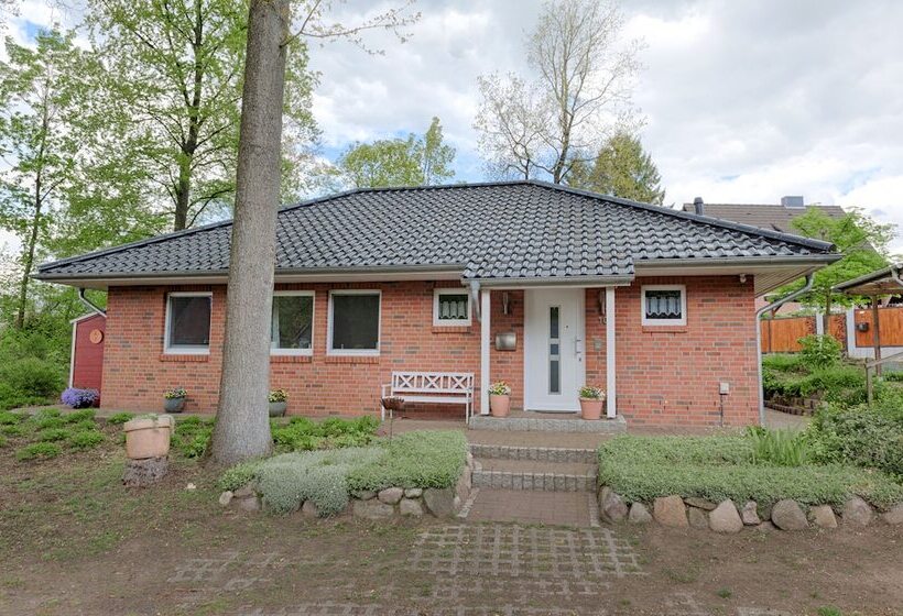 Ferienhaus Dibbersen Wittenhögen