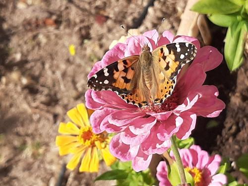 Lavinia Naturist Resort