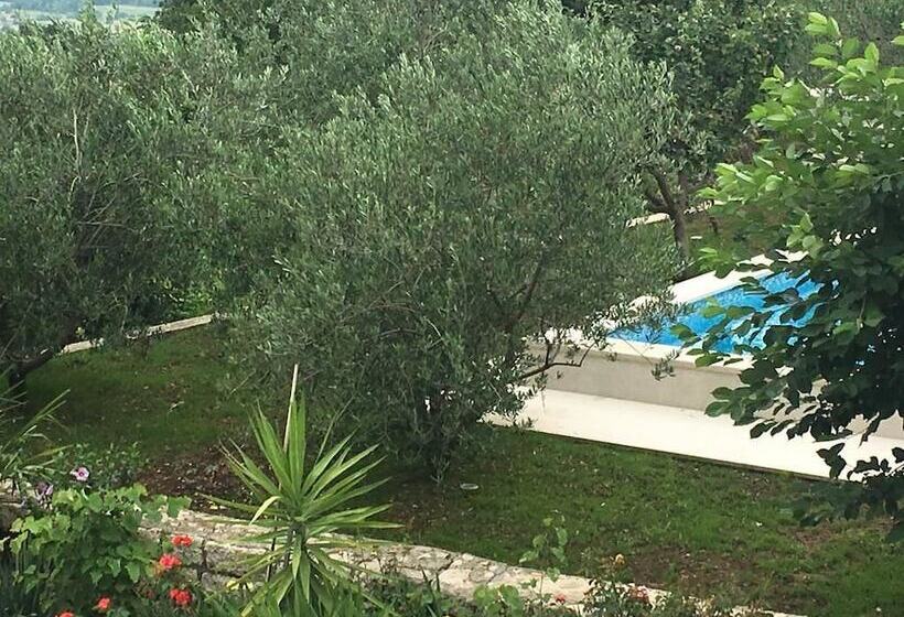 Villa Amare