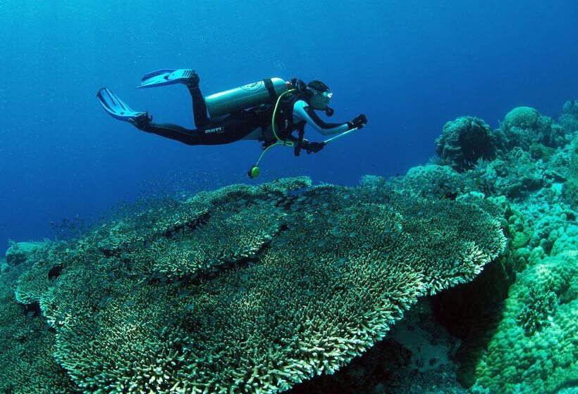 هتل Murex Dive Resort