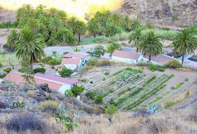 فندق ريفى Ecotara Canary Islands