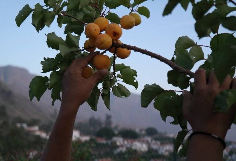 فندق ريفى Ecotara Canary Islands