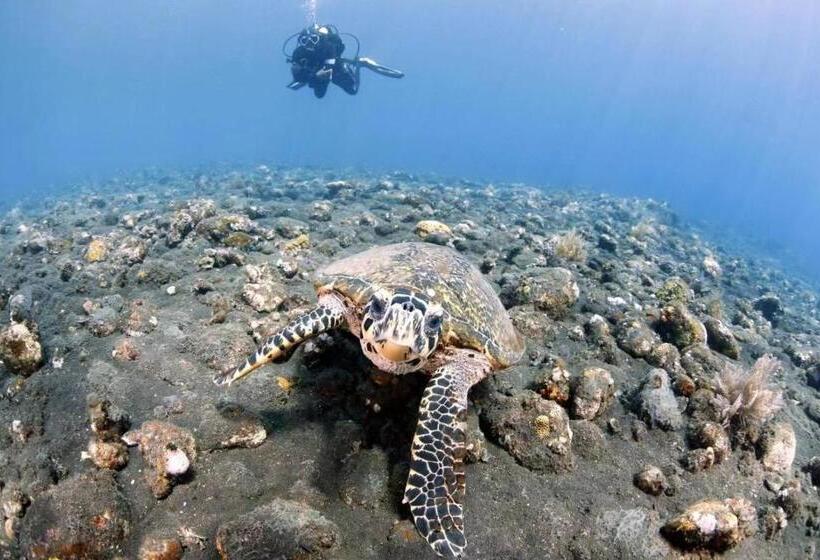 Отель Villa Alba Bali Dive Resort