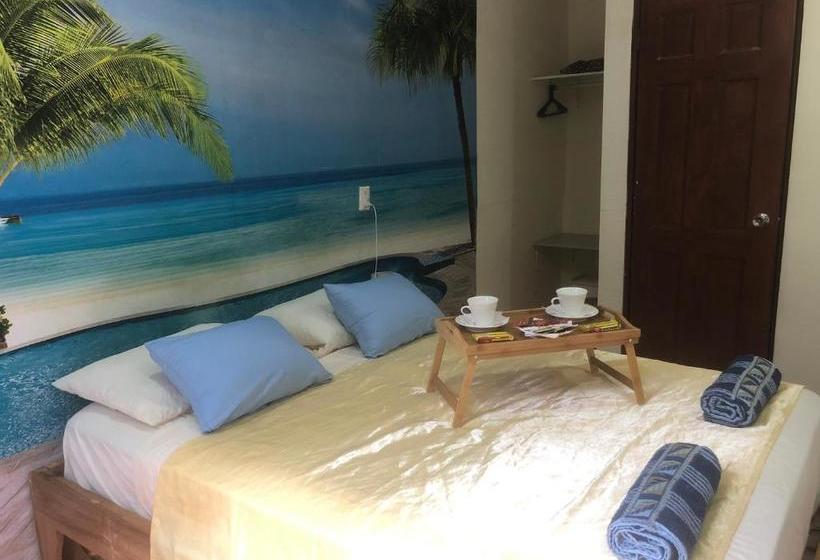 هاستل Toucan House