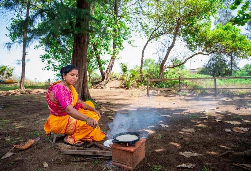 Lotus An Eco Beach Resort Dapoli Murud