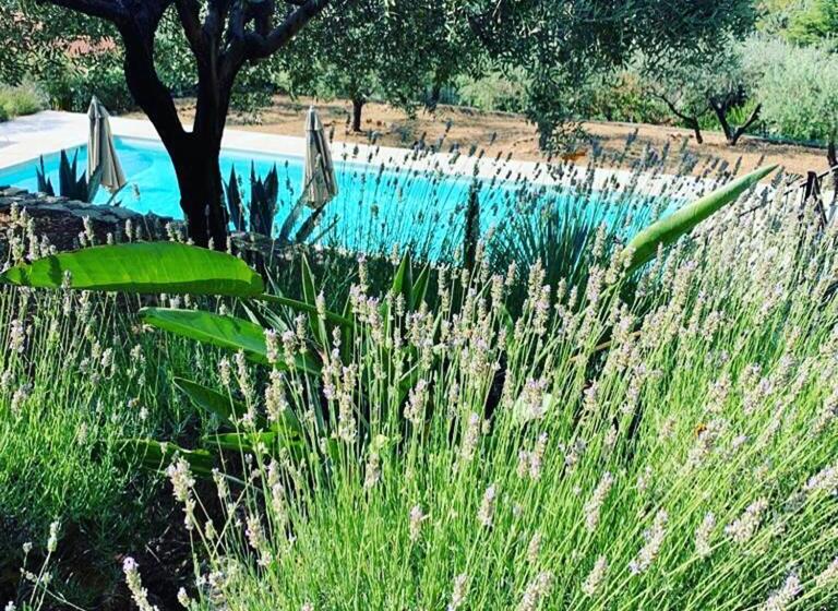 مبيت وإفطار Le Clos En Provence